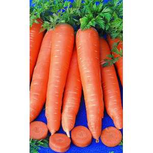 Вита Лонга - морковь, 10 гр., Цезарь фото, цена